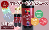 2771 [定期便3回]「マルベリー GABA ジュース 530g入り 2本 鹿屋産 桑の実 100%使用(毎月2本×3回お届け) [常温 常温保存 桑 桑の実 マルベリー ベリー ジュース 果汁 飲料 GABA アミノ酸 鹿屋 鹿児島 定期便]