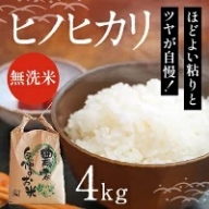 H-164[産地直送米]ほどよい粘りとツヤが自慢!「無洗米ヒノヒカリ白米(4kg)」