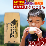 ※令和6年産 新米予約※《定期便12ヶ月》秋田県産 あきたこまち 20kg【玄米】(5kg小分け袋) 2024年産 お届け周期調整可能 隔月に調整OK お米 藤岡農産