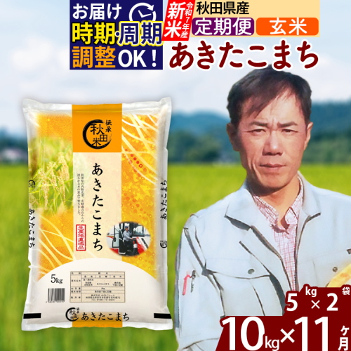 ※令和7年産 新米※《定期便11ヶ月》秋田県産 あきたこまち 10kg【玄米】(5kg小分け袋)  2025年産 お届け時期選べる お届け周期調整可能 隔月に調整OK お米 みそらファーム 160516 - 秋田県北秋田市