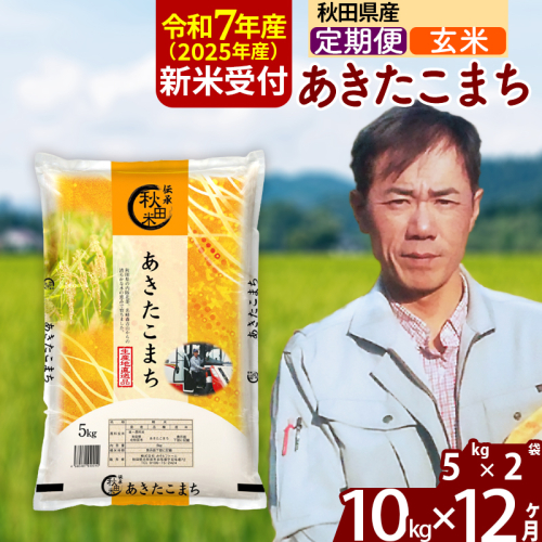※令和7年産 新米予約※《定期便12ヶ月》秋田県産 あきたこまち 10kg【玄米】(5kg小分け袋) 2025年産 お届け時期選べる お届け周期調整可能 隔月に調整OK お米 みそらファーム 160517 - 秋田県北秋田市