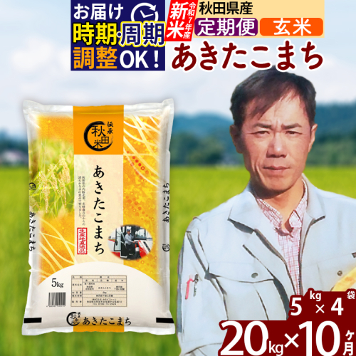 ※令和7年産 新米※《定期便10ヶ月》秋田県産 あきたこまち 20kg【玄米】(5kg小分け袋) 2025年産 お届け時期選べる お届け周期調整可能 隔月に調整OK お米 みそらファーム 160527 - 秋田県北秋田市