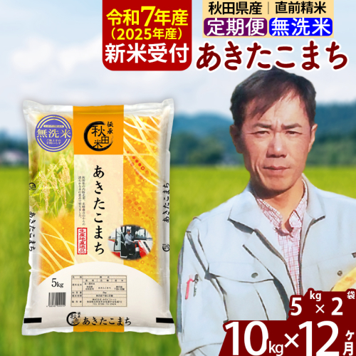 ※令和7年産 新米予約※《定期便12ヶ月》秋田県産 あきたこまち 10kg【無洗米】(5kg小分け袋)  2025年産 お届け時期選べる お届け周期調整可能 隔月に調整OK お米 みそらファーム 160541 - 秋田県北秋田市