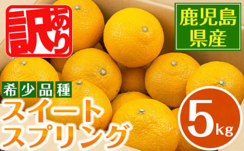i1067-A ＜先行予約受付中！2025年12月下旬～2月下旬の間に発送予定＞ ＜数量・期間限定＞ 《傷ありのため訳あり》 スイートスプリング (約5kg) 鹿児島 みかん スイートスプリング 柑橘 果物 くだもの フルーツ 旬 ミカン 【江崎果樹園】