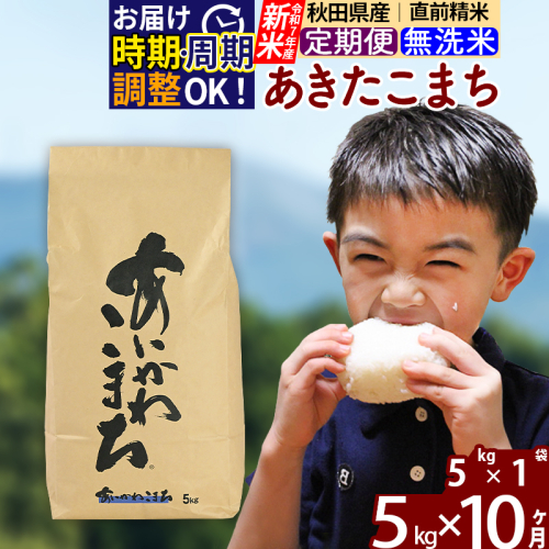 ※令和7年産 新米※《定期便10ヶ月》秋田県産 あきたこまち 5kg【無洗米】(5kg小分け袋) 2025年産 お届け時期選べる お届け周期調整可能 隔月に調整OK お米 藤岡農産 160714 - 秋田県北秋田市