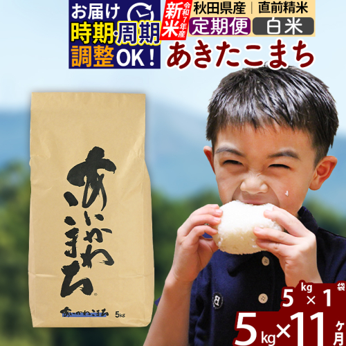 ※令和7年産 新米※《定期便11ヶ月》秋田県産 あきたこまち 5kg【白米】(5kg小分け袋) 2025年産 お届け時期選べる お届け周期調整可能 隔月に調整OK お米 藤岡農産 160716 - 秋田県北秋田市