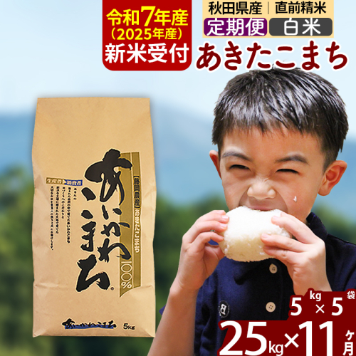 ※令和7年産 新米※《定期便11ヶ月》秋田県産 あきたこまち 25kg【白米】(5kg小分け袋) 2025年産 お届け時期選べる お届け周期調整可能 隔月に調整OK お米 藤岡農産 160724 - 秋田県北秋田市