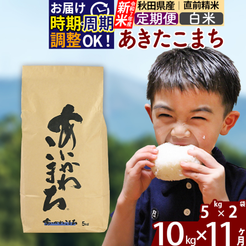 ※令和7年産 新米※《定期便11ヶ月》秋田県産 あきたこまち 10kg【白米】(5kg小分け袋) 2025年産 お届け時期選べる お届け周期調整可能 隔月に調整OK お米 藤岡農産 160740 - 秋田県北秋田市