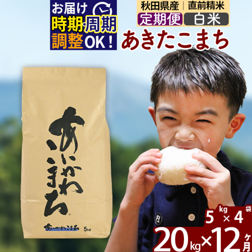 ※令和7年産※《定期便12ヶ月》秋田県産 あきたこまち 20kg【白米】(5kg小分け袋) 2025年産 お届け時期選べる お届け周期調整可能 隔月に調整OK お米 藤岡農産 160782 - 秋田県北秋田市