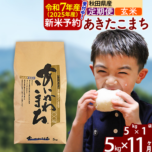 ※令和7年産 新米予約※《定期便11ヶ月》秋田県産 あきたこまち 5kg【玄米】(5kg小分け袋) 2025年産 お届け周期調整可能 隔月に調整OK お米 藤岡農産 160817 - 秋田県北秋田市