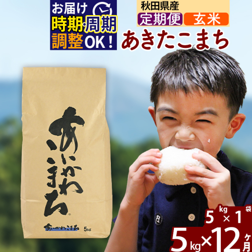 ※令和7年産※《定期便12ヶ月》秋田県産 あきたこまち 5kg【玄米】(5kg小分け袋) 2025年産 お届け時期選べる お届け周期調整可能 隔月に調整OK お米 藤岡農産 160818 - 秋田県北秋田市