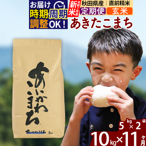 ※令和7年産 新米※《定期便11ヶ月》秋田県産 あきたこまち 10kg【玄米】(5kg小分け袋) 2025年産 お届け時期選べる お届け周期調整可能 隔月に調整OK お米 藤岡農産 160838 - 秋田県北秋田市