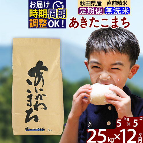 ※令和7年産※《定期便12ヶ月》秋田県産 あきたこまち 25kg【無洗米】(5kg小分け袋) 2025年産 お届け時期選べる お届け周期調整可能 隔月に調整OK お米 藤岡農産 160840 - 秋田県北秋田市