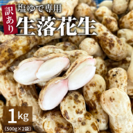 【2026年発送】事前予約 訳あり やみつき極うま “金の生落花生” 塩ゆで専用 1kg(500g×2袋）　H105-143