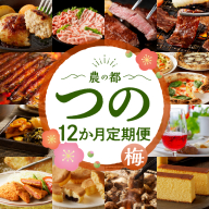 【10月1日より寄附額改定】≪12か月お楽しみ定期便≫都農町定期便(梅) 肉 加工品 デザート 国産_T999-0082