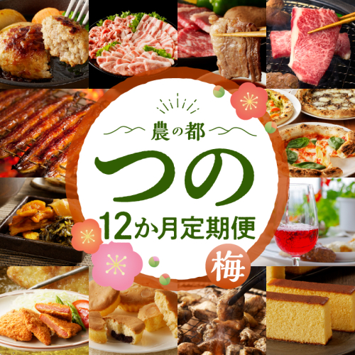 ≪12か月お楽しみ定期便≫都農町定期便(梅) 肉 加工品 デザート 国産_T999-0083 1609046 - 宮崎県都農町