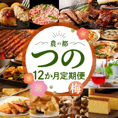 ≪12か月お楽しみ定期便≫都農町定期便(梅) 肉 加工品 デザート 国産_T999-008 1609046 - 宮崎県都農町