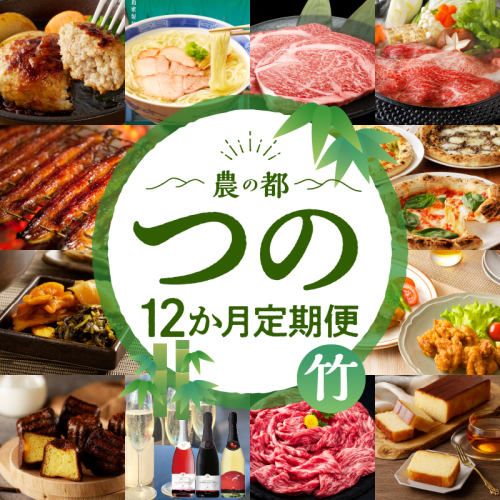 ≪12か月お楽しみ定期便≫都農町定期便(竹) 肉 加工品 デザート 国産_T999-009 1609047 - 宮崎県都農町