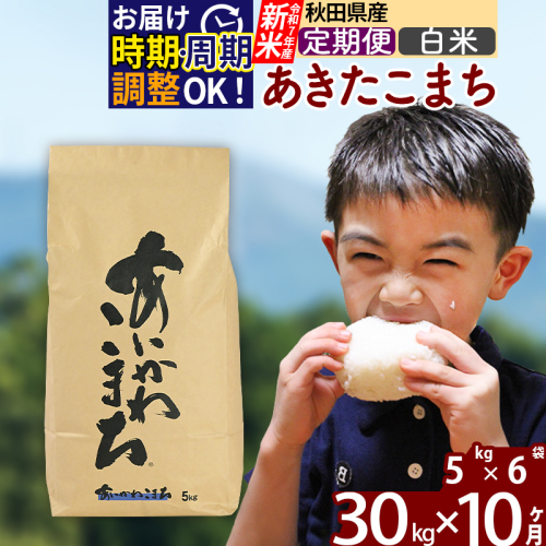 ※令和7年産 新米※《定期便10ヶ月》秋田県産 あきたこまち 30kg【白米】(5kg小分け袋) 2025年産 お届け時期選べる お届け周期調整可能 隔月に調整OK お米 藤岡農産 160962 - 秋田県北秋田市