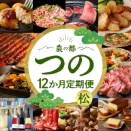 【10月1日より寄附額改定】≪12か月お楽しみ定期便≫都農町定期便(松) 肉 加工品 デザート 国産_T999-0102
