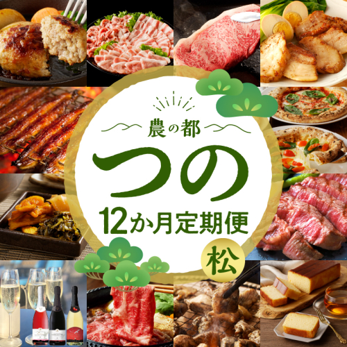 ≪12か月お楽しみ定期便≫都農町定期便(松) 肉 加工品 デザート 国産_T999-010 1609760 - 宮崎県都農町