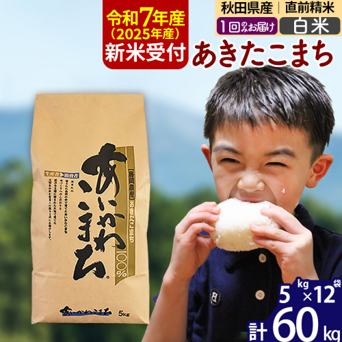 ※令和7年産 新米予約※秋田県産 あきたこまち 60kg【白米】(5kg小分け袋) 【1回のみお届け】2025年産 お届け時期選べる お米 藤岡農産 160987 - 秋田県北秋田市