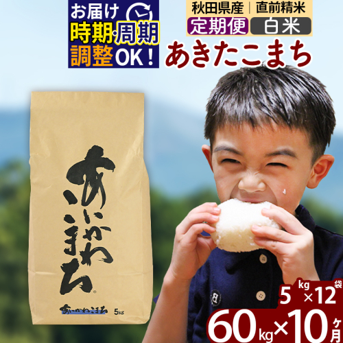 ※令和7年産※《定期便10ヶ月》秋田県産 あきたこまち 60kg【白米】(5kg小分け袋) 2025年産 お届け時期選べる お届け周期調整可能 隔月に調整OK お米 藤岡農産 160995 - 秋田県北秋田市