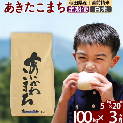 ※令和7年産※《定期便3ヶ月》秋田県産 あきたこまち 100kg【白米】(5kg小分け袋) 2025年産 お届け周期調整可能 隔月に調整OK お米 藤岡農産 [藤岡農産 秋田 お米 あきたこまち 米どころ 東北 北秋田市 定期便 毎月お届け] 161032 - 秋田県北秋田市