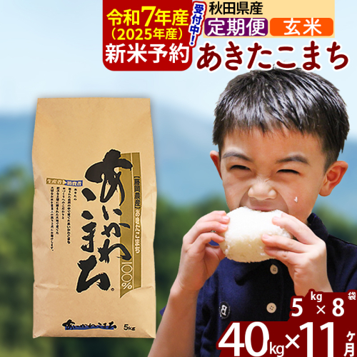 ※令和7年産 新米予約※《定期便11ヶ月》秋田県産 あきたこまち 40kg【玄米】(5kg小分け袋) 2025年産 お届け周期調整可能 隔月に調整OK お米 藤岡農産 161062 - 秋田県北秋田市