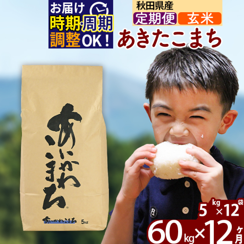 ※令和7年産※《定期便12ヶ月》秋田県産 あきたこまち 60kg【玄米】(5kg小分け袋) 2025年産 お届け時期選べる お届け周期調整可能 隔月に調整OK お米 藤岡農産 161085 - 秋田県北秋田市