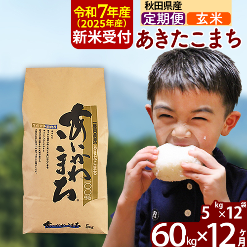 ※令和7年産 新米予約※《定期便12ヶ月》秋田県産 あきたこまち 60kg【玄米】(5kg小分け袋) 2025年産 お届け時期選べる お届け周期調整可能 隔月に調整OK お米 藤岡農産 161085 - 秋田県北秋田市
