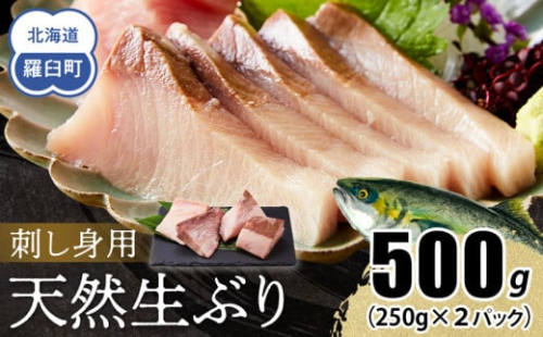 【2026年1月発送】北海道 知床羅臼産 天然ぶり刺身 500g (250g×2パック) 魚 海産物 魚介 魚介類 ブリ 鰤 刺身 ご飯のお供 冷凍 生産者 支援 応援