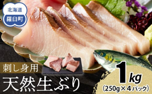 【2025年12月発送】北海道 知床羅臼産 天然ぶり刺身 1kg (250g×4パック) 魚 海産物 魚介 魚介類 ブリ 鰤 刺身 ご飯のお供 冷凍 生産者 支援 応援