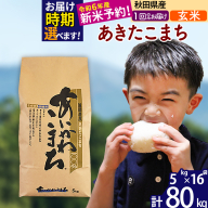 定期便：8ヶ月連続でお届け】【令和5年産米】新潟県岩船産 棚田米