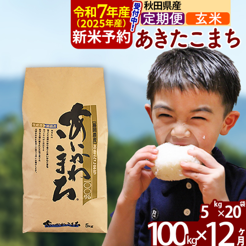 ※令和7年産 新米予約※《定期便12ヶ月》秋田県産 あきたこまち 100kg【玄米】(5kg小分け袋) 2025年産 お届け周期調整可能 隔月に調整OK お米 藤岡農産 161129 - 秋田県北秋田市