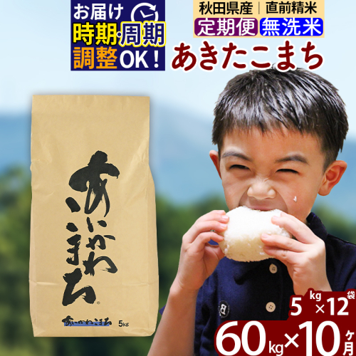 ※令和7年産※《定期便10ヶ月》秋田県産 あきたこまち 60kg【無洗米】(5kg小分け袋) 2025年産 お届け時期選べる お届け周期調整可能 隔月に調整OK お米 藤岡農産 161171 - 秋田県北秋田市
