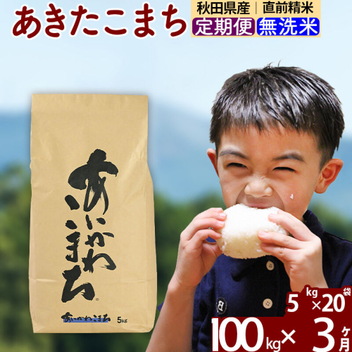 ※令和7年産※《定期便3ヶ月》秋田県産 あきたこまち 100kg【無洗米】(5kg小分け袋) 2025年産 お届け周期調整可能 隔月に調整OK お米 藤岡農産 [藤岡農産 秋田 お米 あきたこまち 米どころ 東北 北秋田市 定期便 毎月お届け] 161208 - 秋田県北秋田市