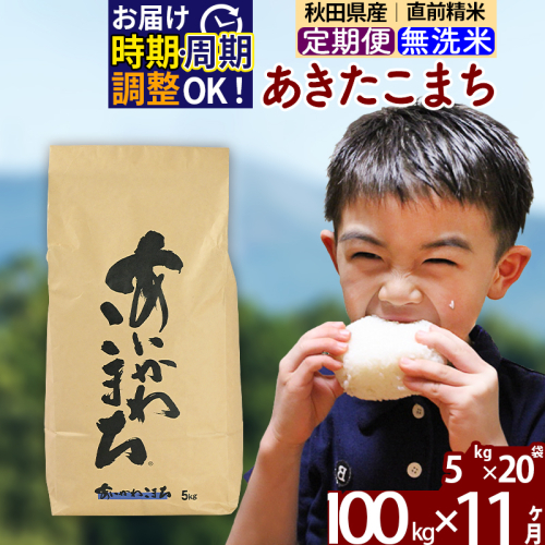 ※令和7年産※《定期便11ヶ月》秋田県産 あきたこまち 100kg【無洗米】(5kg小分け袋) 2025年産 お届け時期選べる お届け周期調整可能 隔月に調整OK お米 藤岡農産 161216 - 秋田県北秋田市