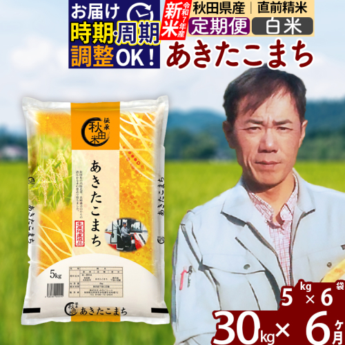 ※令和7年産 新米※《定期便6ヶ月》秋田県産 あきたこまち 30kg【白米】(5kg小分け袋) 2025年産 お届け時期選べる お届け周期調整可能 隔月に調整OK お米 みそらファーム 161223 - 秋田県北秋田市