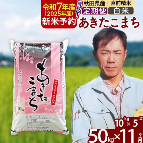 ※令和7年産 新米予約※《定期便11ヶ月》秋田県産 あきたこまち 50kg【白米】(10kg袋) 2025年産 お届け周期調整可能 隔月に調整OK お米 みそらファーム 161250 - 秋田県北秋田市