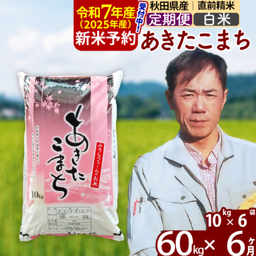 ※令和7年産 新米予約※《定期便6ヶ月》秋田県産 あきたこまち 60kg【白米】(10kg袋) 2025年産 お届け周期調整可能 隔月に調整OK お米 みそらファーム 161256 - 秋田県北秋田市
