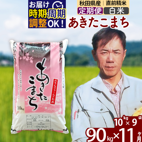 ※令和7年産※《定期便11ヶ月》秋田県産 あきたこまち 90kg【白米】(10kg袋) 2025年産 お届け時期選べる お届け周期調整可能 隔月に調整OK お米 みそらファーム 161294 - 秋田県北秋田市