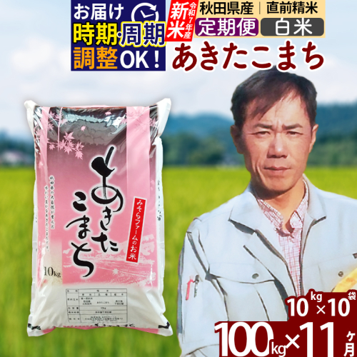※令和7年産 新米※《定期便11ヶ月》秋田県産 あきたこまち 100kg【白米】(10kg袋) 2025年産 お届け時期選べる お届け周期調整可能 隔月に調整OK お米 みそらファーム 161305 - 秋田県北秋田市