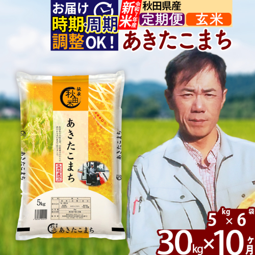 ※令和7年産 新米※《定期便10ヶ月》秋田県産 あきたこまち 30kg【玄米】(5kg小分け袋)  2025年産 お届け時期選べる お届け周期調整可能 隔月に調整OK お米 みそらファーム 161315 - 秋田県北秋田市
