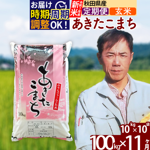 ※令和7年産 新米※《定期便11ヶ月》秋田県産 あきたこまち 100kg【玄米】(10kg袋) 2025年産 お届け時期選べる お届け周期調整可能 隔月に調整OK お米 みそらファーム 161393 - 秋田県北秋田市
