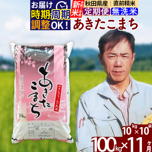 ※令和7年産 新米※《定期便11ヶ月》秋田県産 あきたこまち 100kg【無洗米】(10kg袋) 2025年産 お届け時期選べる お届け周期調整可能 隔月に調整OK お米 みそらファーム 161481 - 秋田県北秋田市