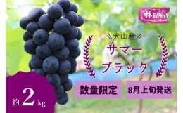 中粒のぶどうで糖度20度以上にもなる『甘い！！』サマーブラックを1箱に約2キロのセット（房の大きさによって重さが前後します）林ファームの直売所で人気のぶどうをお腹いっぱい食べてみて下さい！認定農業者・