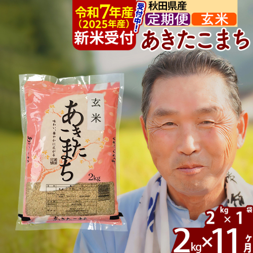 ※令和7年産 新米予約※《定期便11ヶ月》秋田県産 あきたこまち 2kg【玄米】(2kg小分け袋) 2025年産 お届け時期選べる お届け周期調整可能 隔月に調整OK お米 おおもり 161648 - 秋田県北秋田市