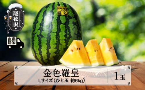 先行予約 金色羅皇 こんじきらおう 尾花沢産スイカ Lサイズ 約6kg×1玉 7月下旬～8月上旬頃発送 令和8年産 2026年産 尾花沢産 スイカ すいか 西瓜 果物 くだもの フルーツ 観光物産 kb-sukr11