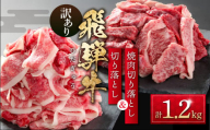 訳あり 飛騨牛 切落とし 600g 焼肉 切落し 600g 冷凍真空パック | 肉 お肉 切り落とし 薄切り すき焼き すきやき 焼肉 焼き肉 やきにく 黒毛和牛 和牛 人気 おすすめ 牛肉 ギフト [MS027]